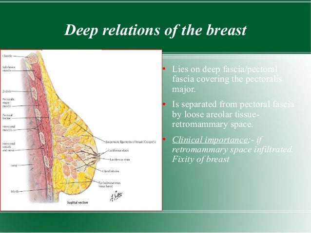 deep breast cancer Shaved vagina or not